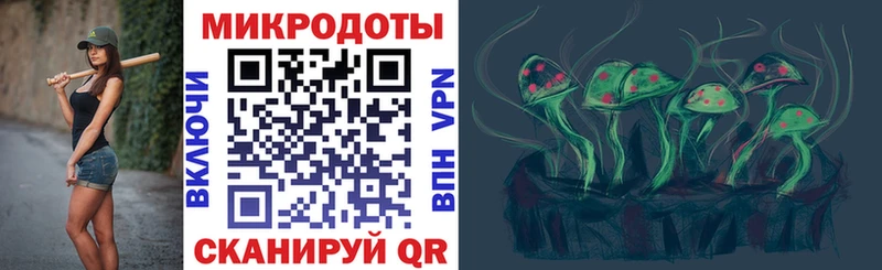 ссылка на мегу как зайти  Меленки  Псилоцибиновые грибы Psilocybe 